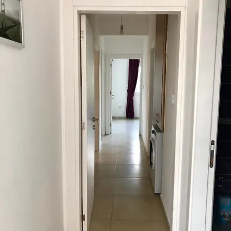 Refleks ניקוסיה